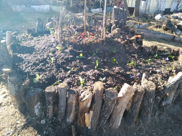 Construcción de un huerto key-hole