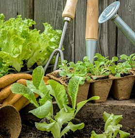 Nuevos cursos y talleres [2016]