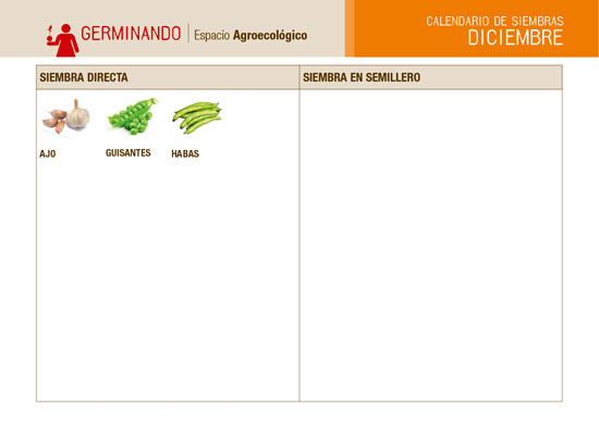 ¿Qué sembrar en diciembre?
