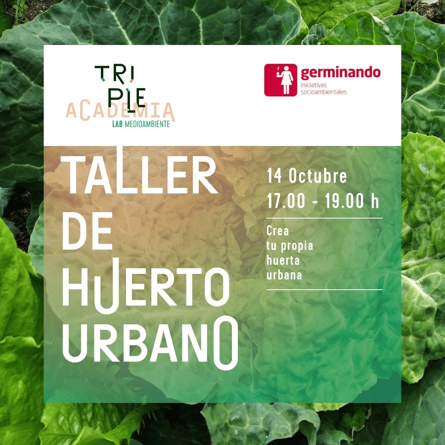 Taller de huerto urbano