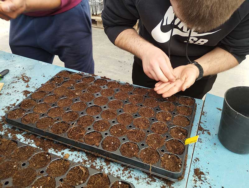 Cartel del II Encuentro Estatal de Huertos de Centros Educativos