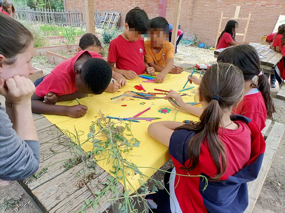 Las plantas silvestres en los huertos escolares