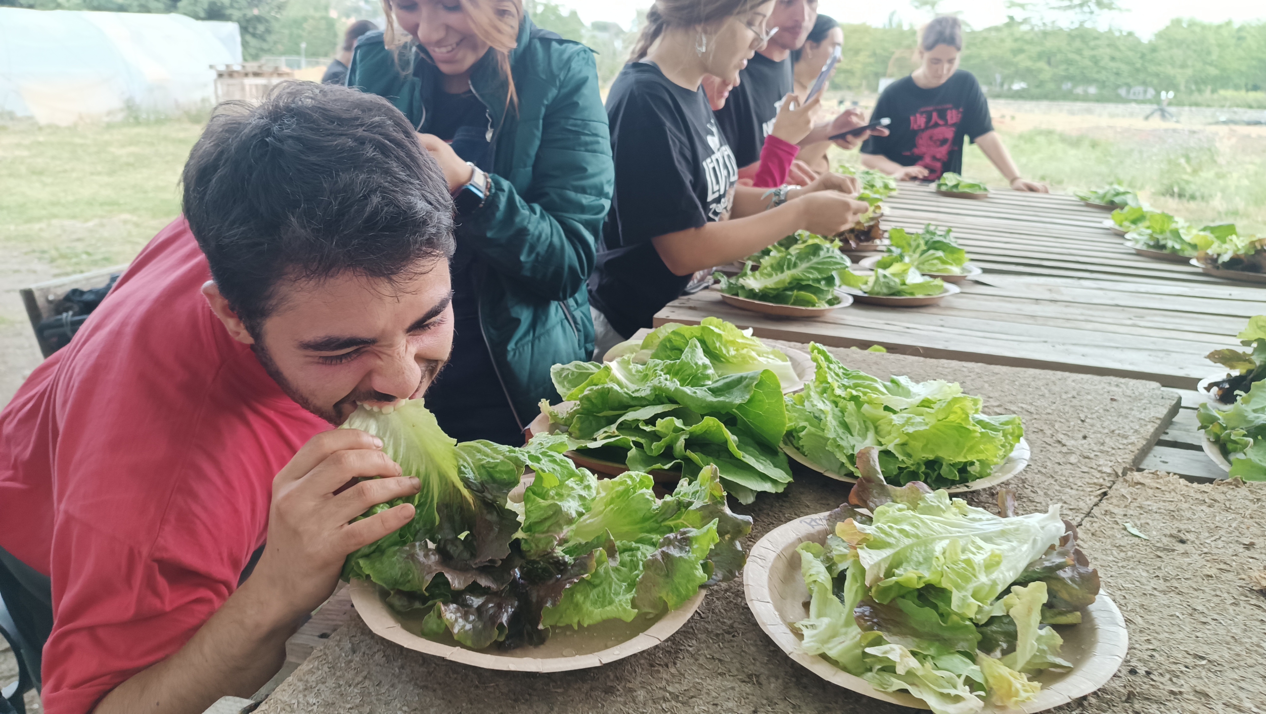 Alimentando Territorio cierra con una exposición abierta al público sobre sus resultados