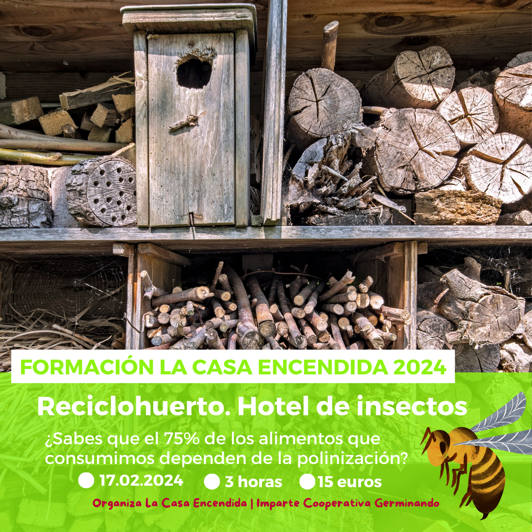 Formación La Casa Encendida 2024: ‘Reciclohuerto. Hotel de insectos’