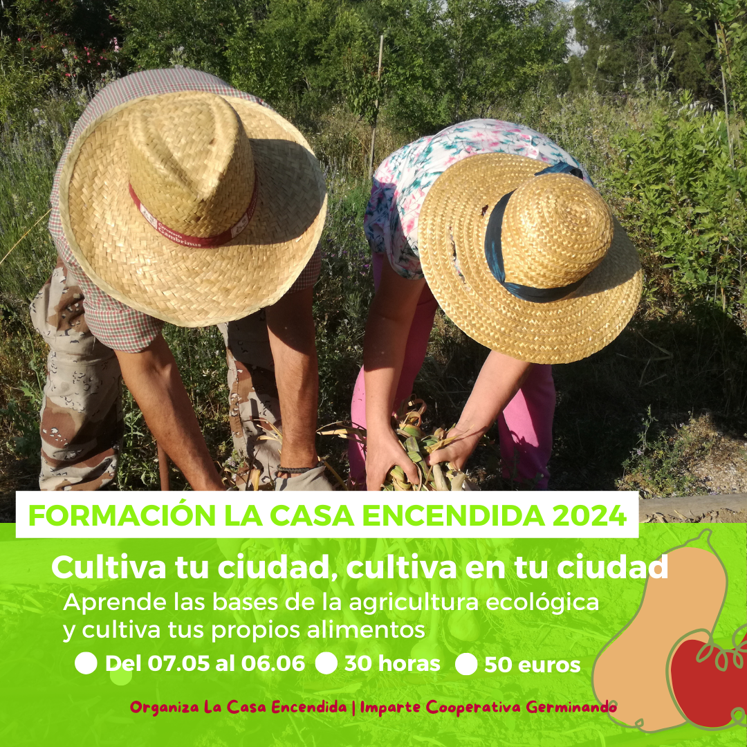 Formación La Casa Encendida 2024: ‘Cultiva tu ciudad, cultiva en tu ciudad’