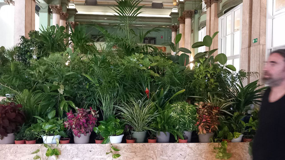 ¿Has visitado ya el Refugio Climático del Círculo de Bellas Artes en Madrid?