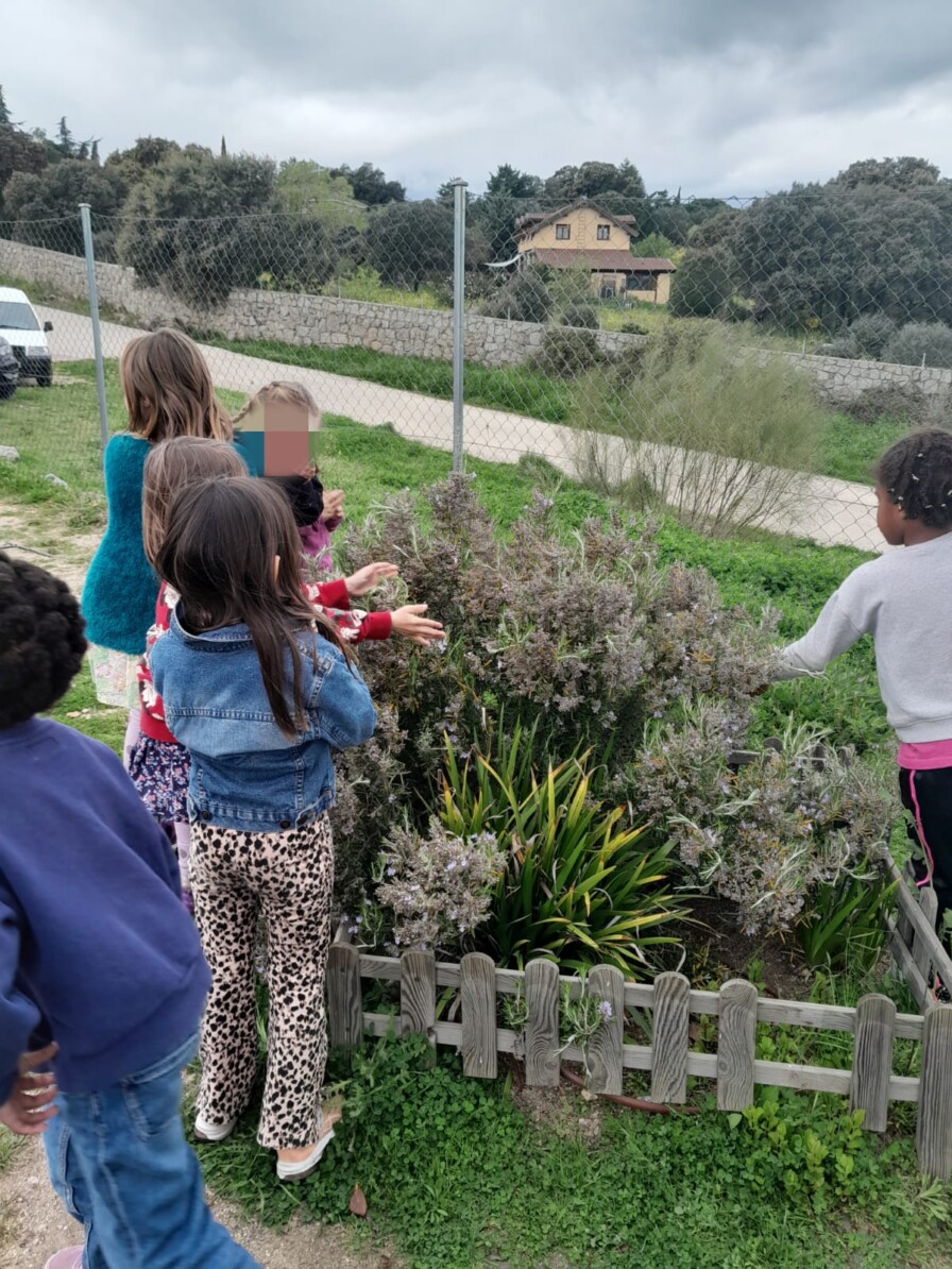 ACTÚA Sierra Oeste: Aprendizaje servicio en el huerto del cole