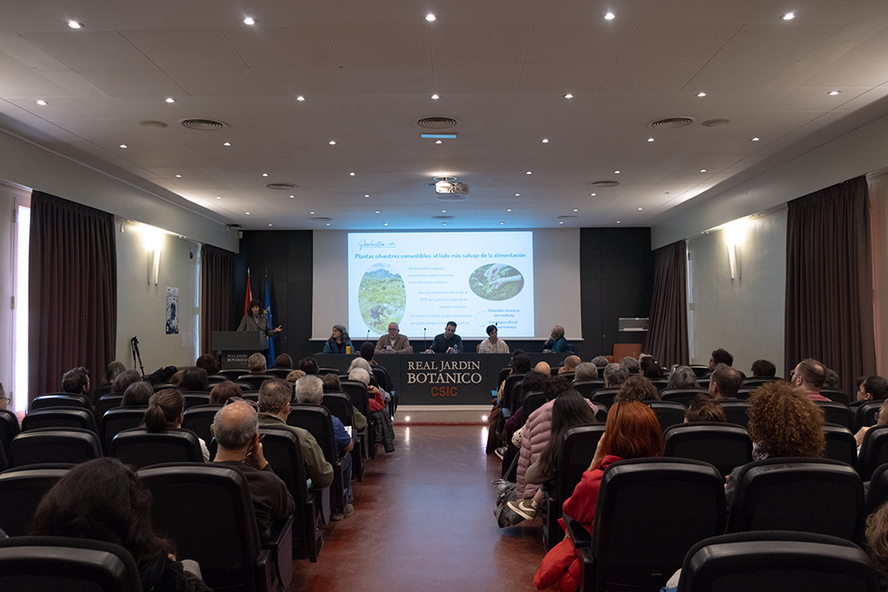 Presentamos los resultados de Resilvestra en el Real Jardín Botánico-CSIC