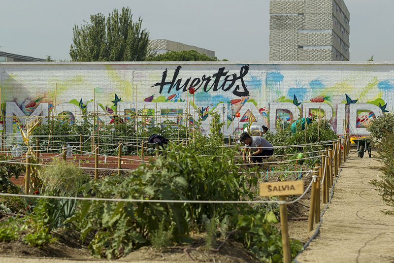 Formación La Casa Encendida 2026: Cultiva tu ciudad, cultiva en tu ciudad