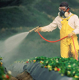 Foto greenpeace