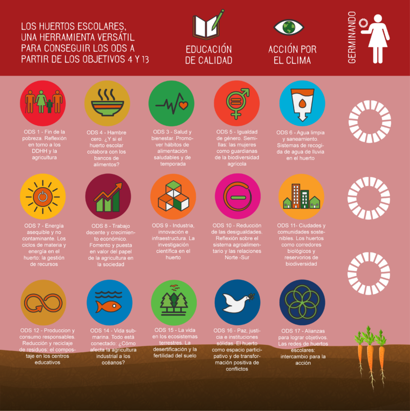 Los huertos escolares y los ODS