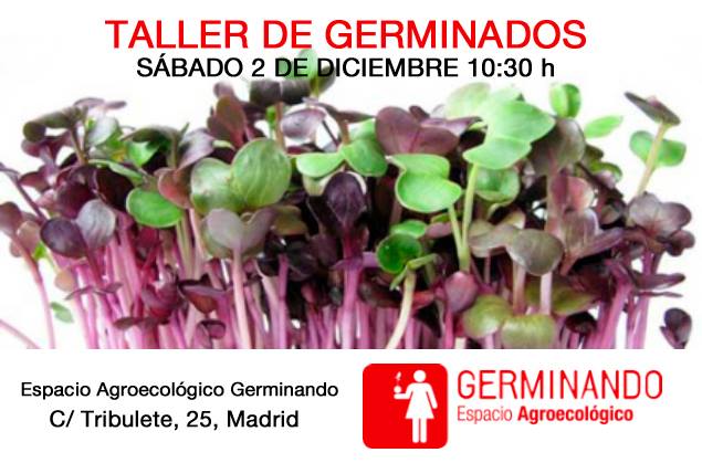 Taller gratuito de germinados [Diciembre 2017]