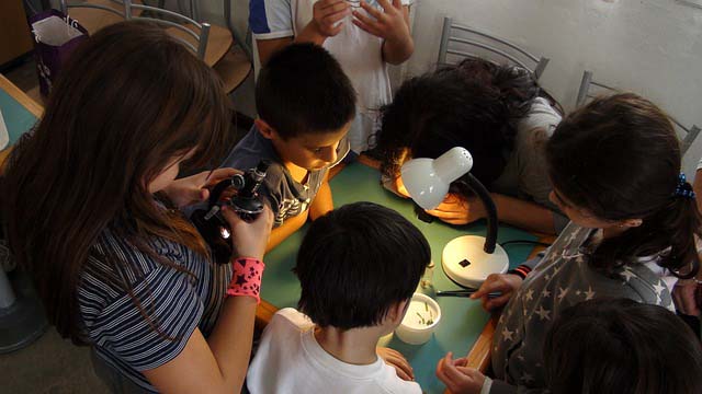 2º AÑO APOYANDO LAS CIENCIAS DESDE LAS AULAS DEL DISTRITO DE SALAMANCA