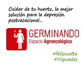 Estamos de vuelta